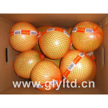 Fresh Honey Pomelo 2015 Crop High Quality